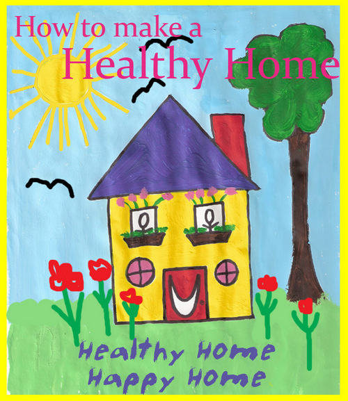 Product picture How to make a healthy Home